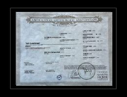 Pandemic AQHA Registration Front.jpg